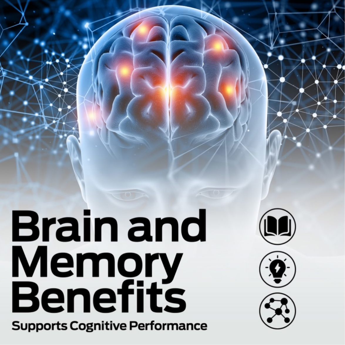 brain and memory